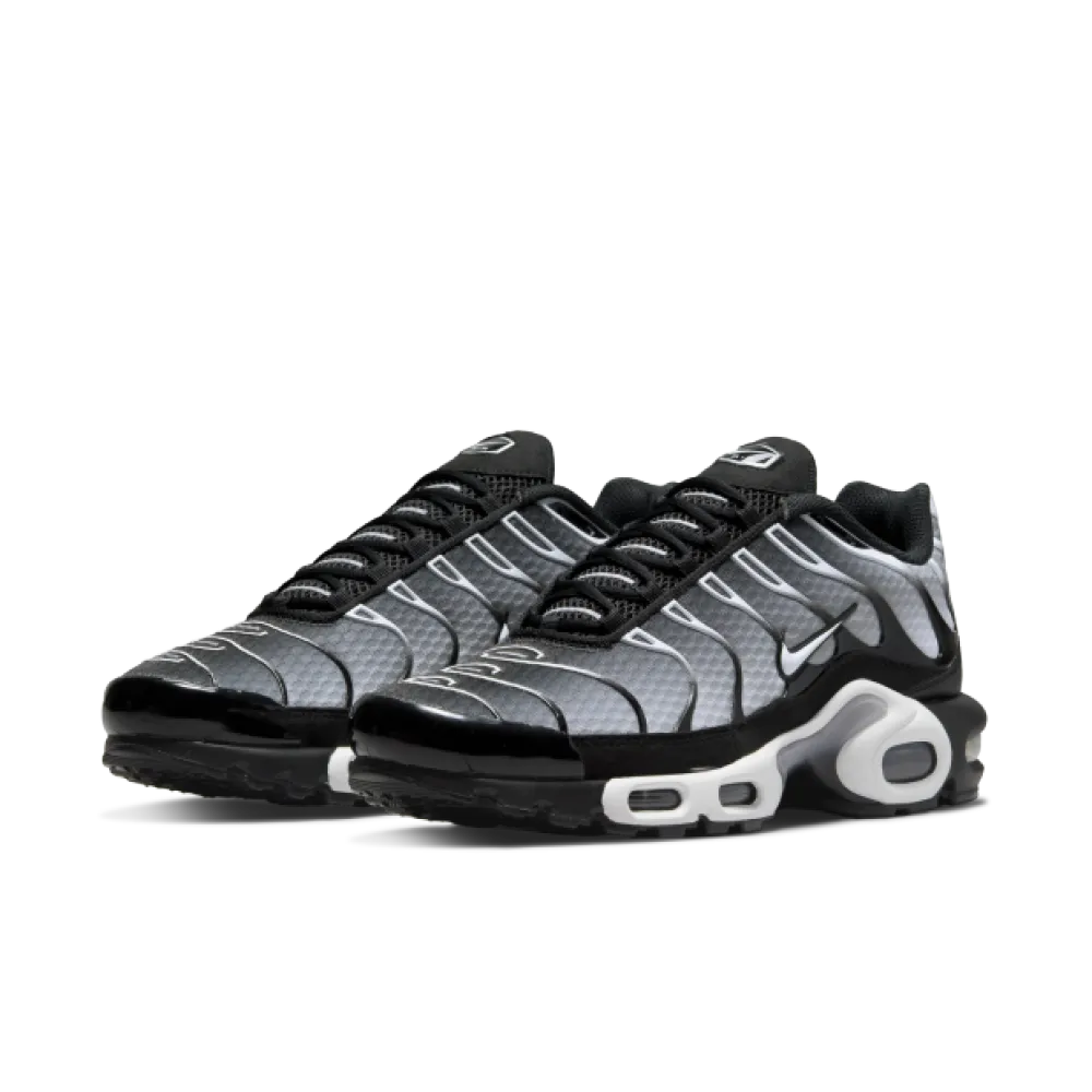 Nike Air Max Plus Black Silver White DM0032-003