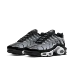 Nike Air Max Plus Black Silver White DM0032-003