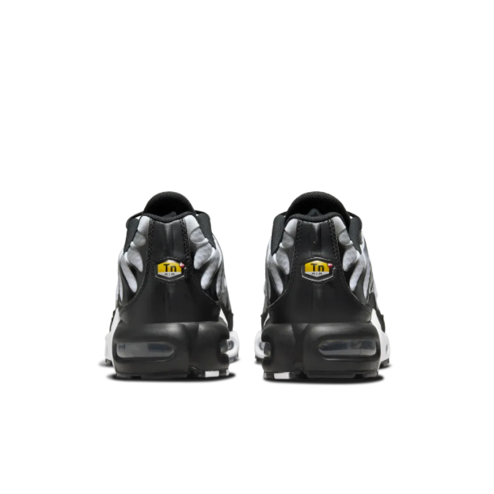 Nike Air Max Plus Black Silver White DM0032-003