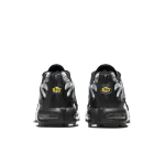 Nike Air Max Plus Black Silver White DM0032-003