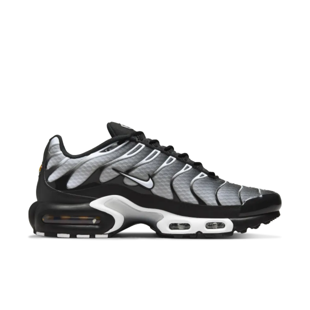 Nike Air Max Plus Black Silver White DM0032-003