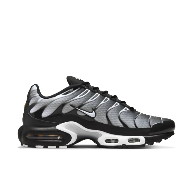 Nike Air Max Plus Black Silver White DM0032-003