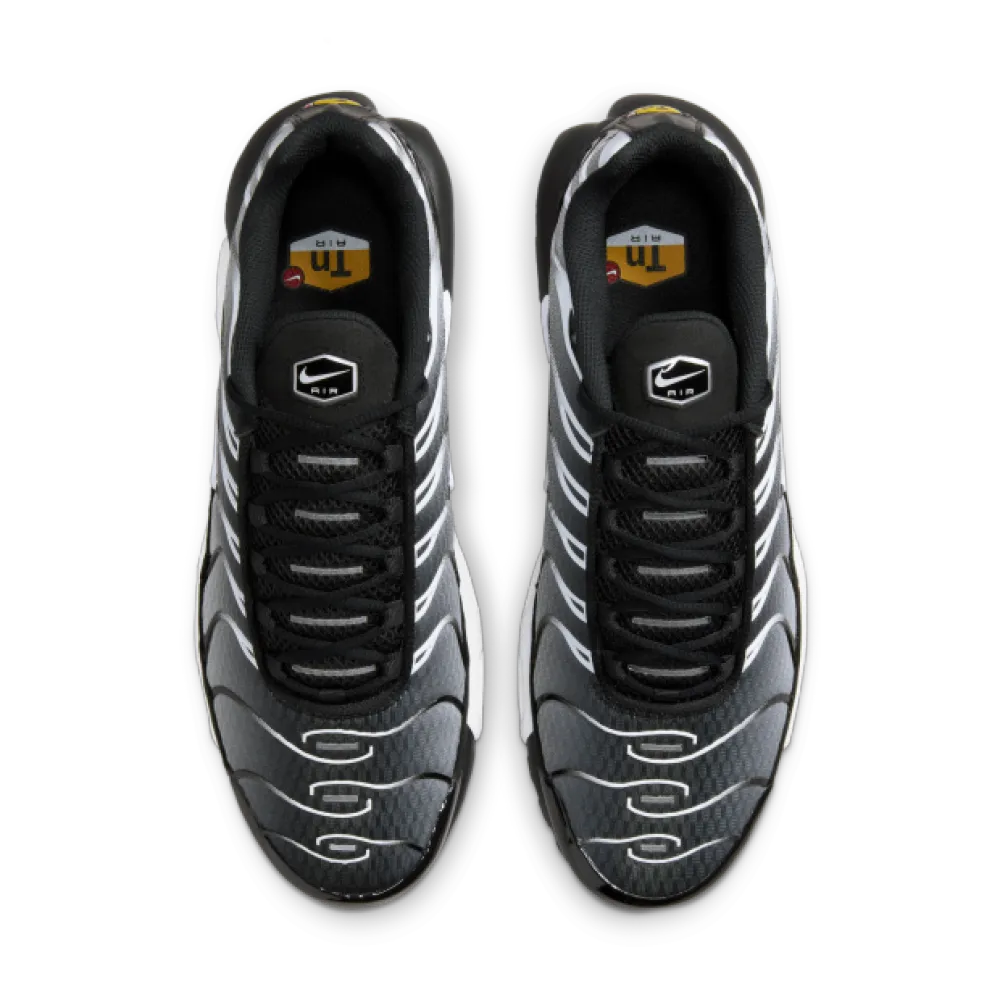 Nike Air Max Plus Black Silver White DM0032-003