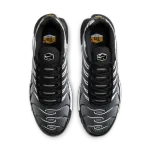 Nike Air Max Plus Black Silver White DM0032-003