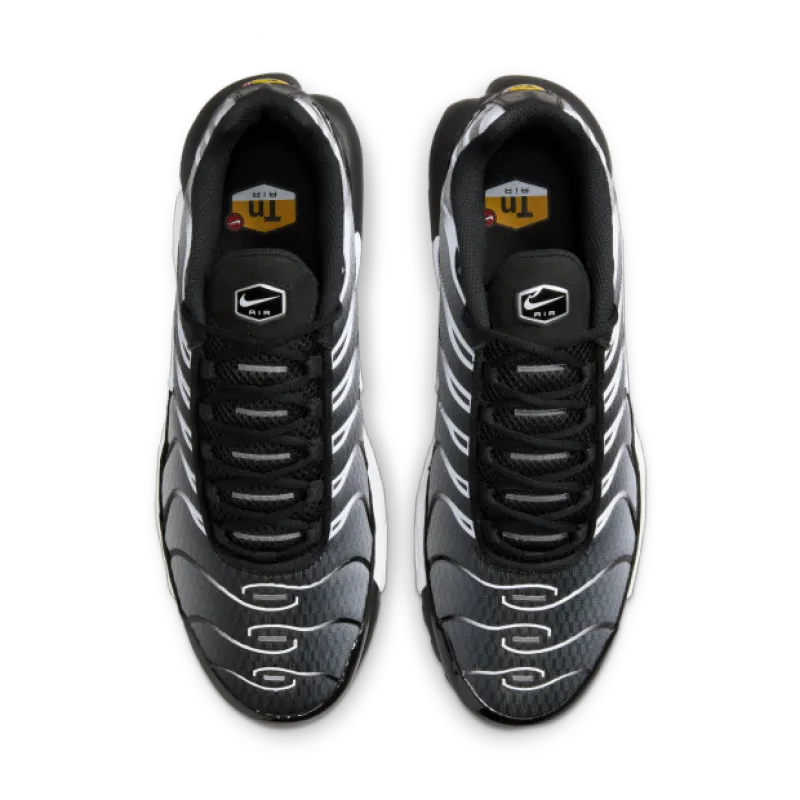 Nike Air Max Plus Black Silver White DM0032-003