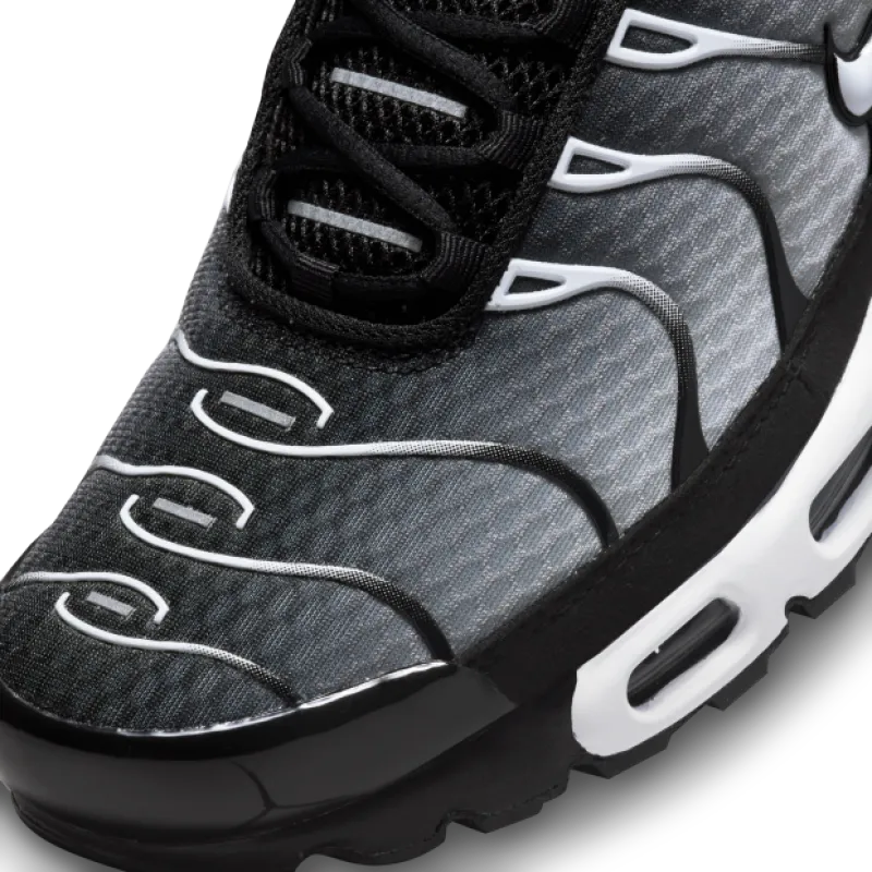 Nike Air Max Plus Black Silver White DM0032-003