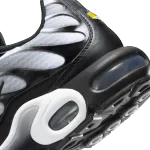 Nike Air Max Plus Black Silver White DM0032-003