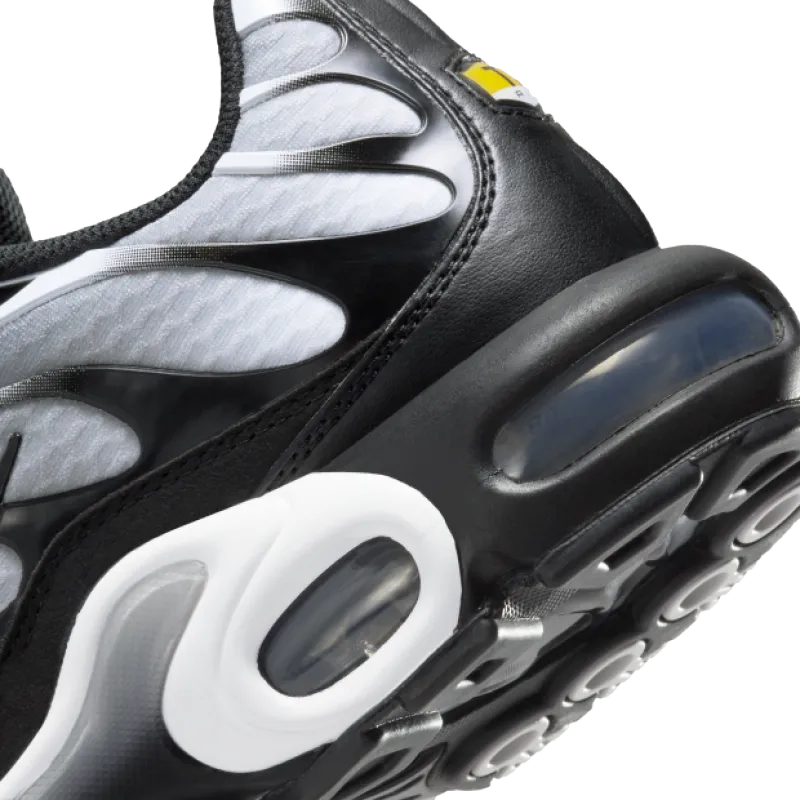 Nike Air Max Plus Black Silver White DM0032-003
