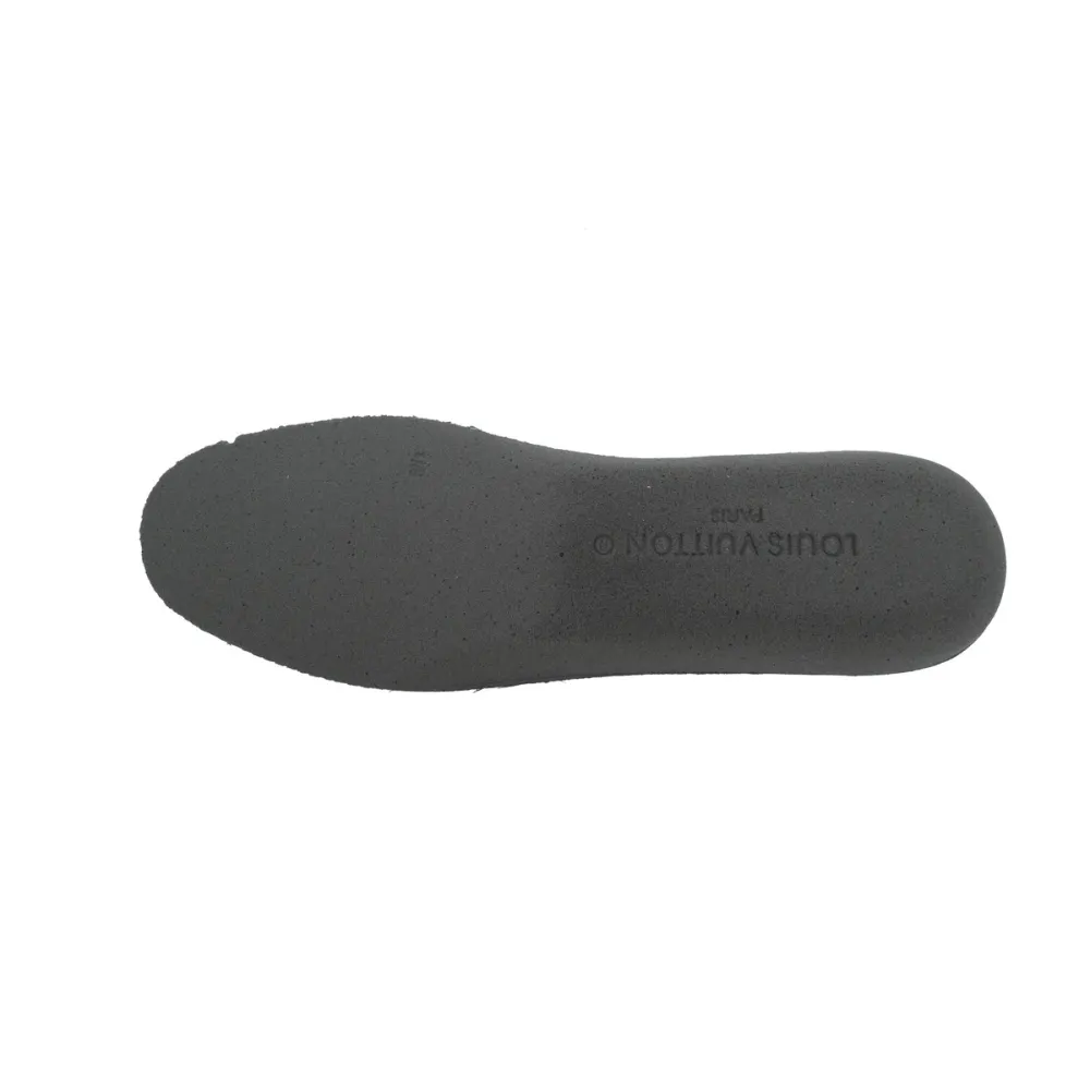 Louis Vuitton Skate Sneaker Grey 1ACQP4