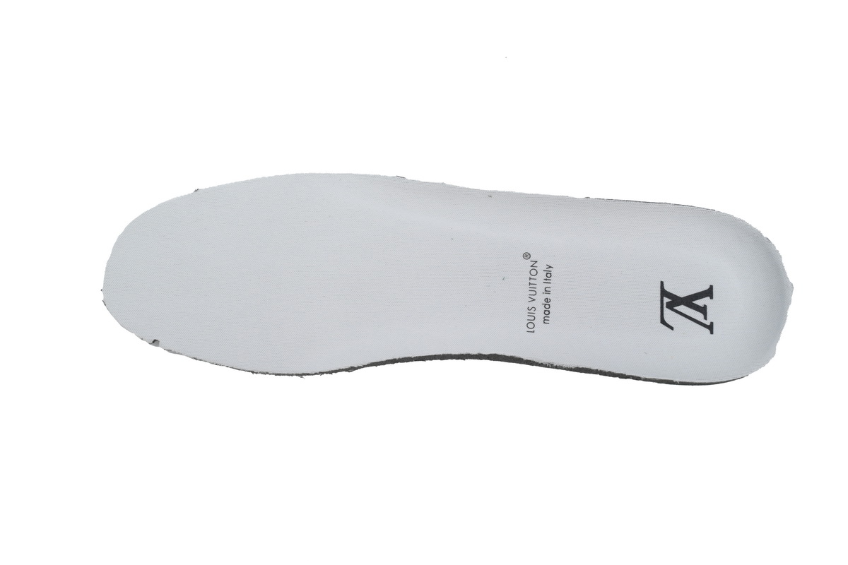 Louis Vuitton Skate Sneaker Grey 1ACQP4