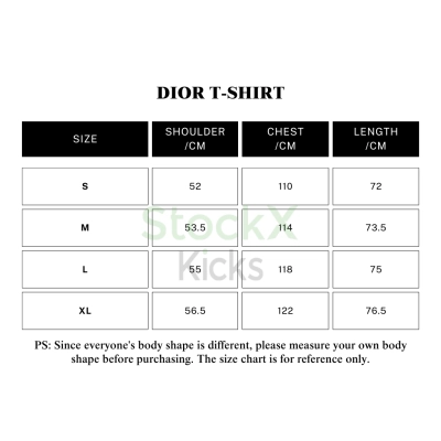 Dior T-Shirt YZ 203703 02