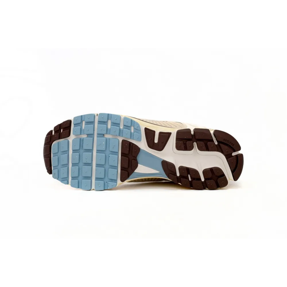 Nike Zoom Vomero 5 Oatmeal FB8825-111