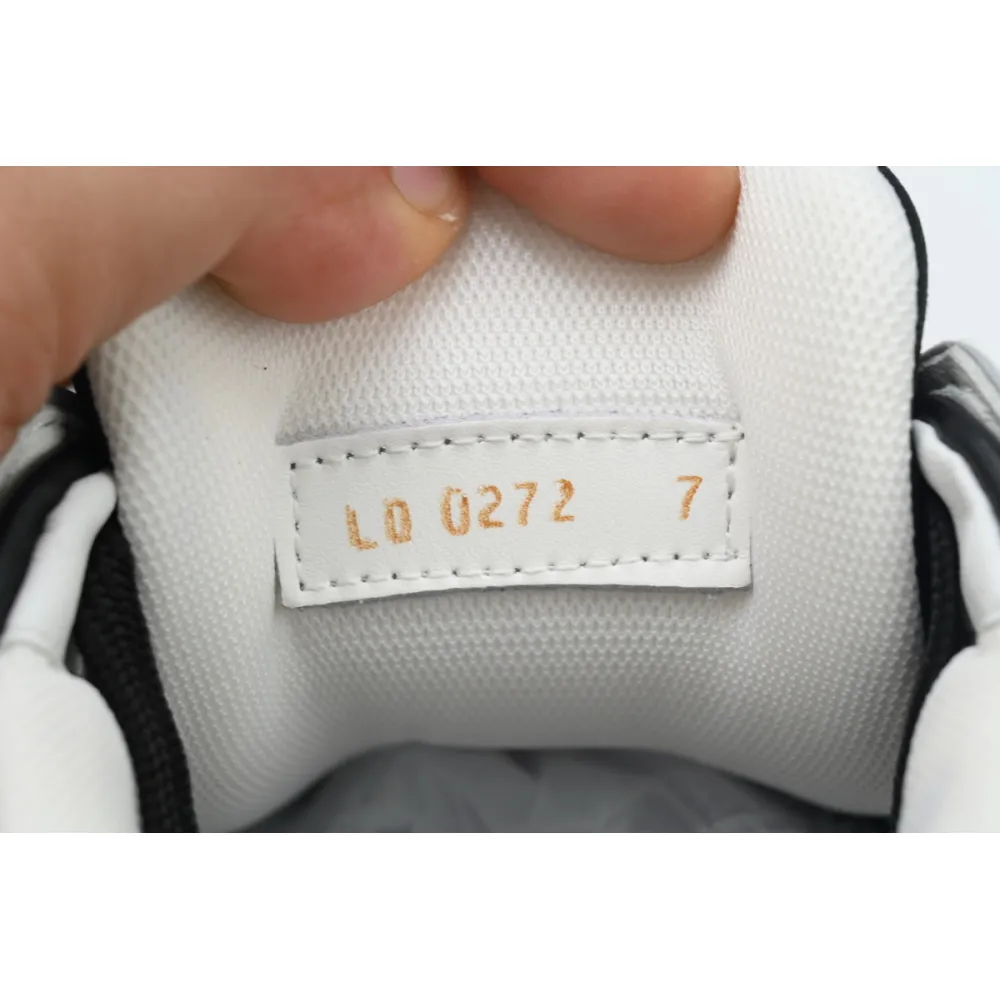 Louis Vuitton LV Trainer Sneaker Black Grey XD CK24071804