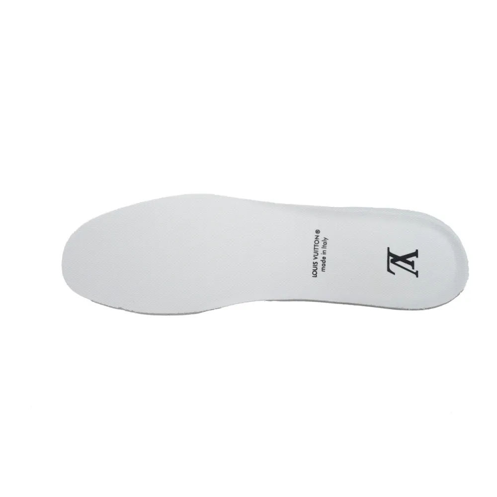 Louis Vuitton LV Trainer Sneaker Black White XD CK24071803