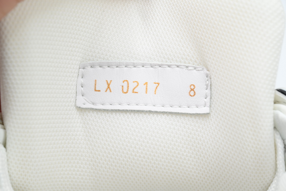 Louis Vuitton LV Trainer Sneaker Black White XD CK24071803