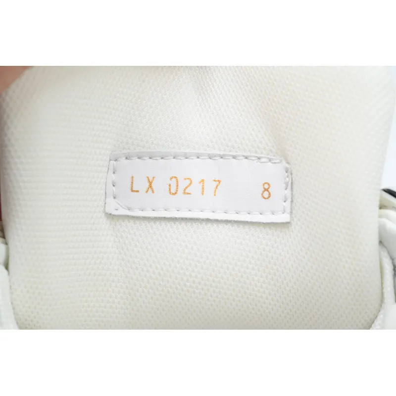 Louis Vuitton LV Trainer Sneaker Black White XD CK24071803