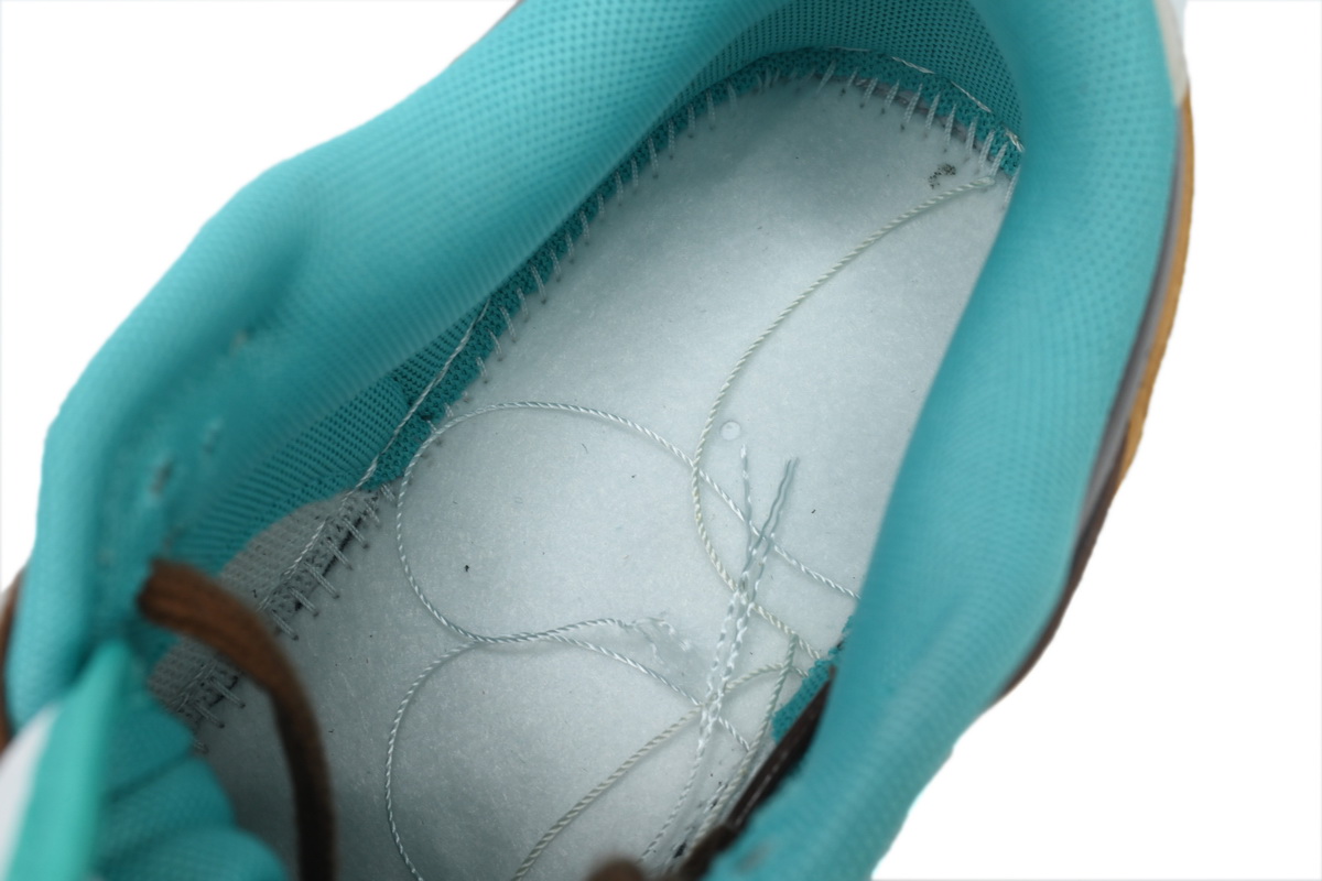 Ljr Batch Nike Dunk Low Spring Day Arrival Formation DV0833-101