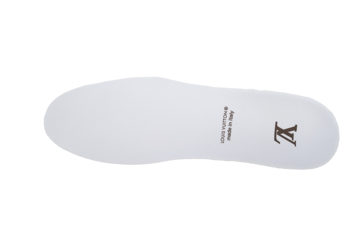 Louis Vuitton LV Trainer Sneaker Moka Brown Monogram Flower 1ACD7K CK240729