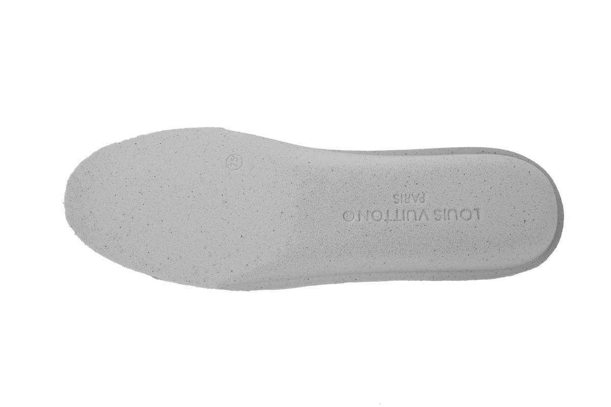 Louis Vuitton Skate Sneaker Grey CK24060303