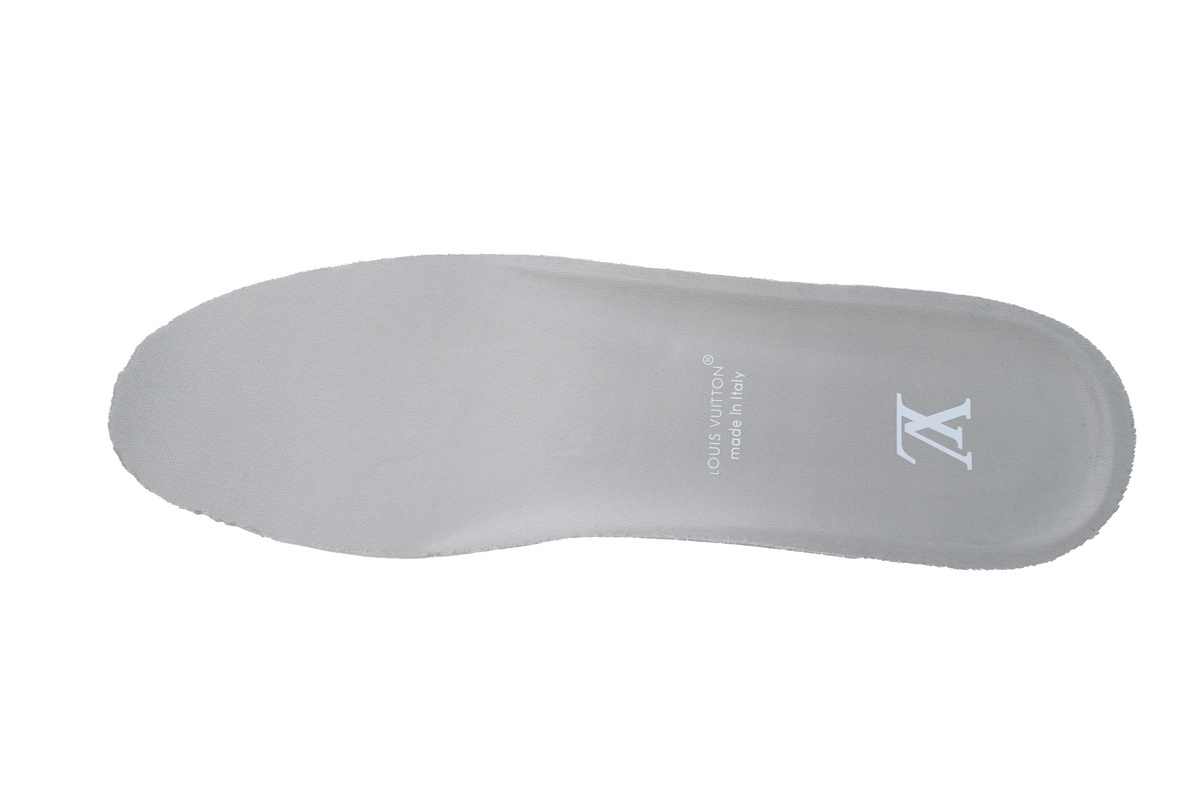 Louis Vuitton Skate Sneaker Grey CK24060303