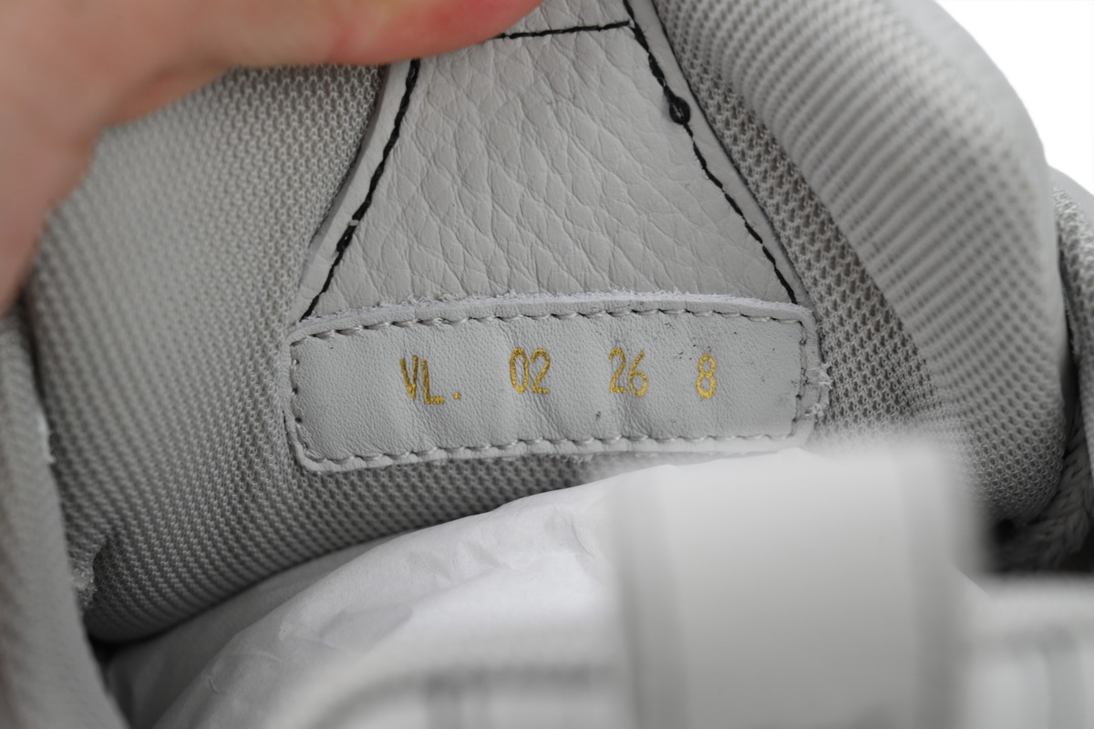 Louis Vuitton Skate Sneaker Grey CK24060303