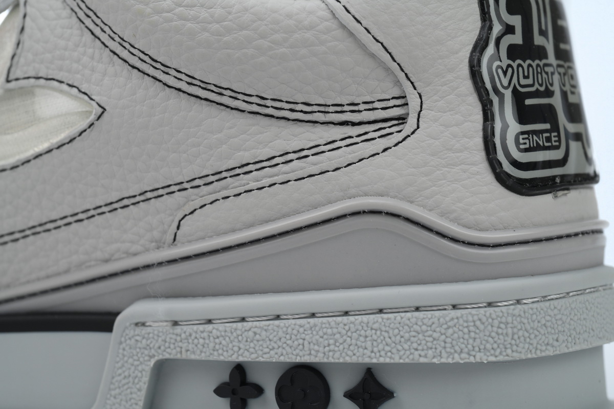 Louis Vuitton Skate Sneaker Grey CK24060303