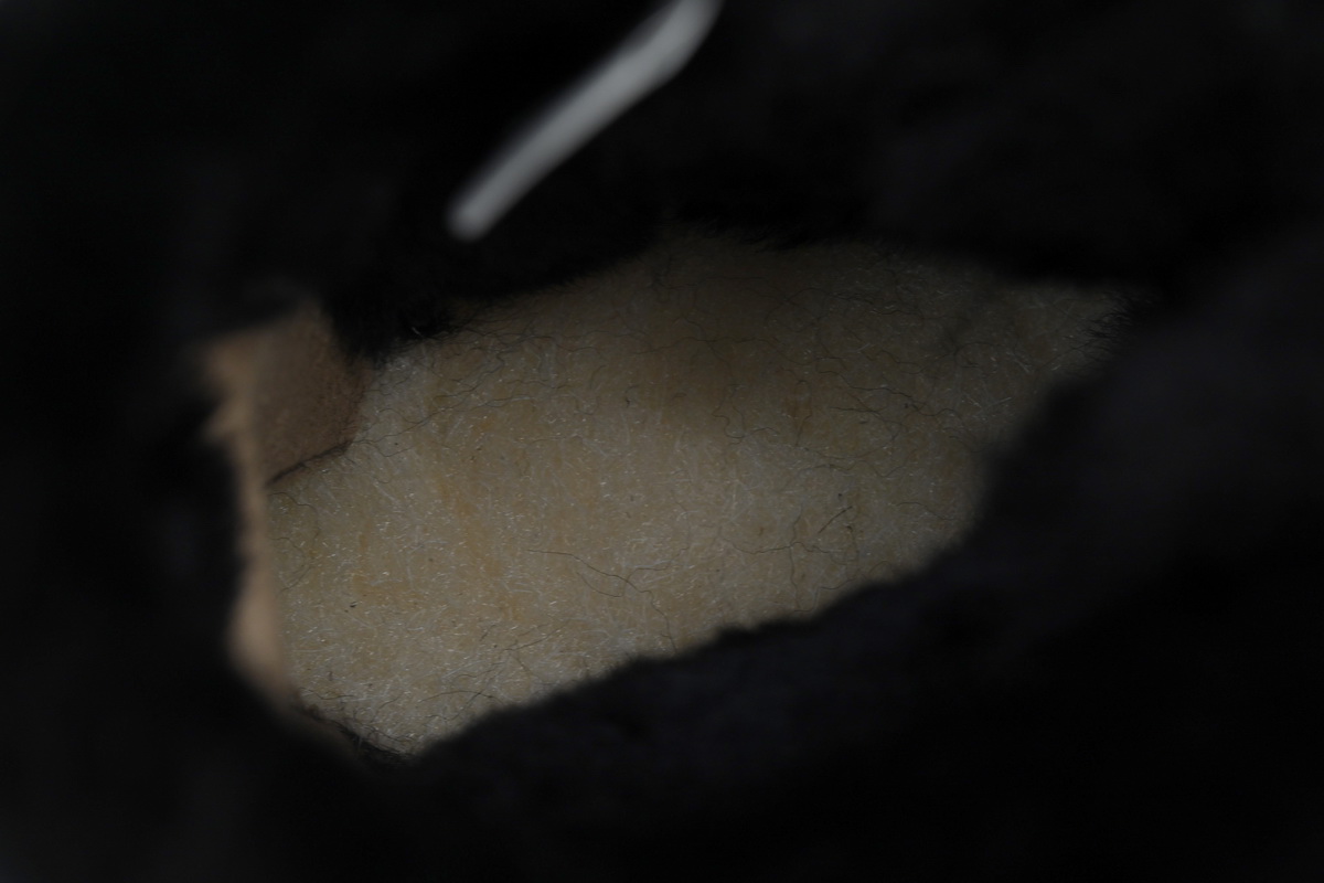 UGG Mini Bailey Bow II Black 1016501