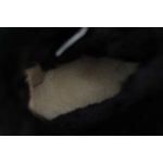 UGG Mini Bailey Bow II Black 1016501