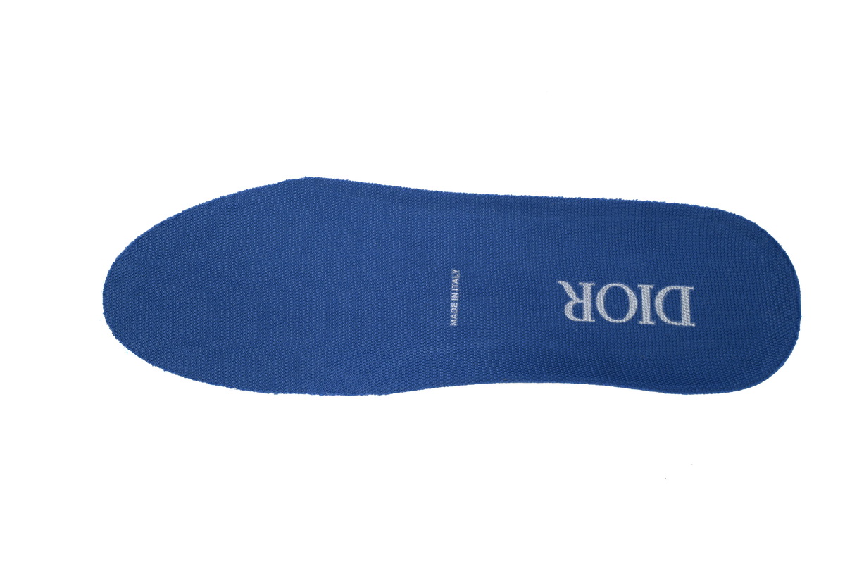 Dior B22 Cream Black Olive Blue CK240911