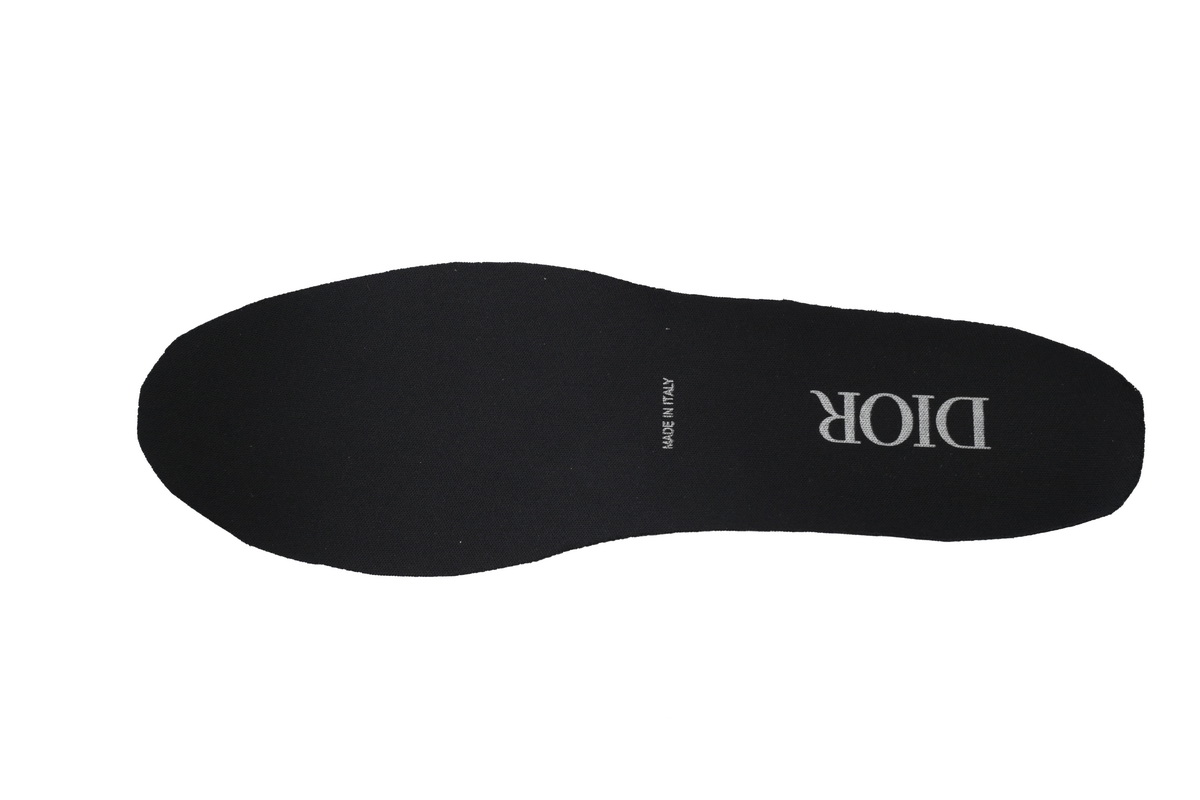 Dior B22 Sneakers Black Laser CK240809