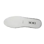 Dior B30 Gray Gray 3SN279ZND-H860