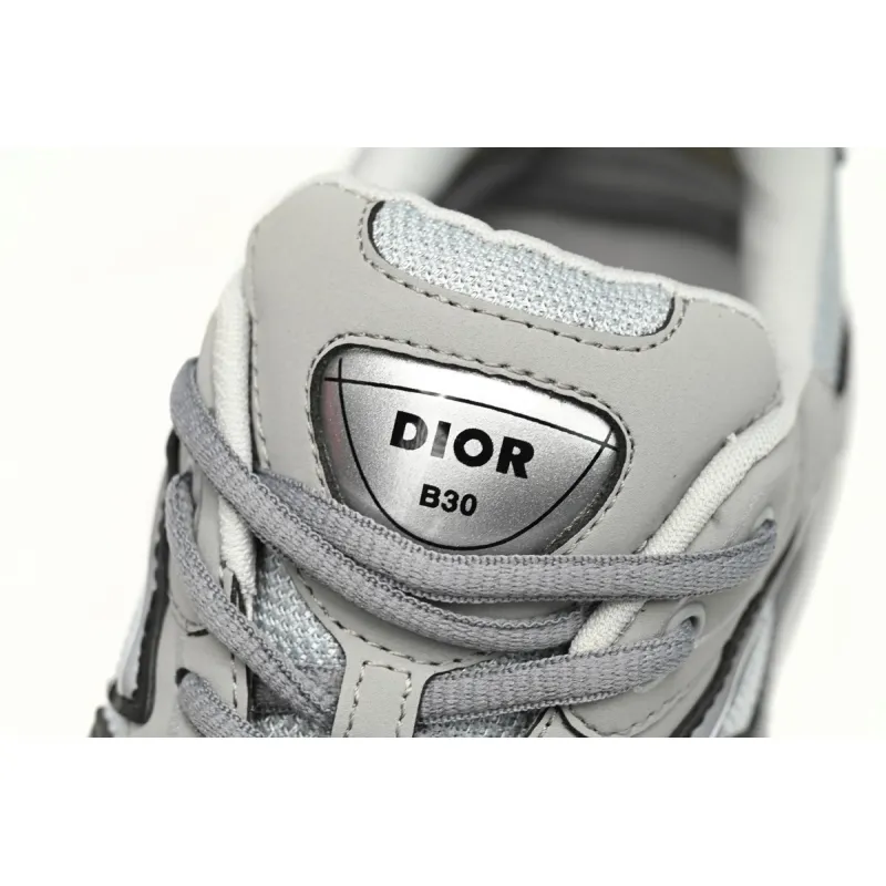 Dior B30 Gray Gray 3SN279ZND-H860