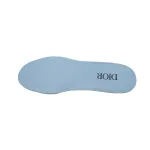 Dior B30 Sneaker Blue Mesh and Technical Fabric 