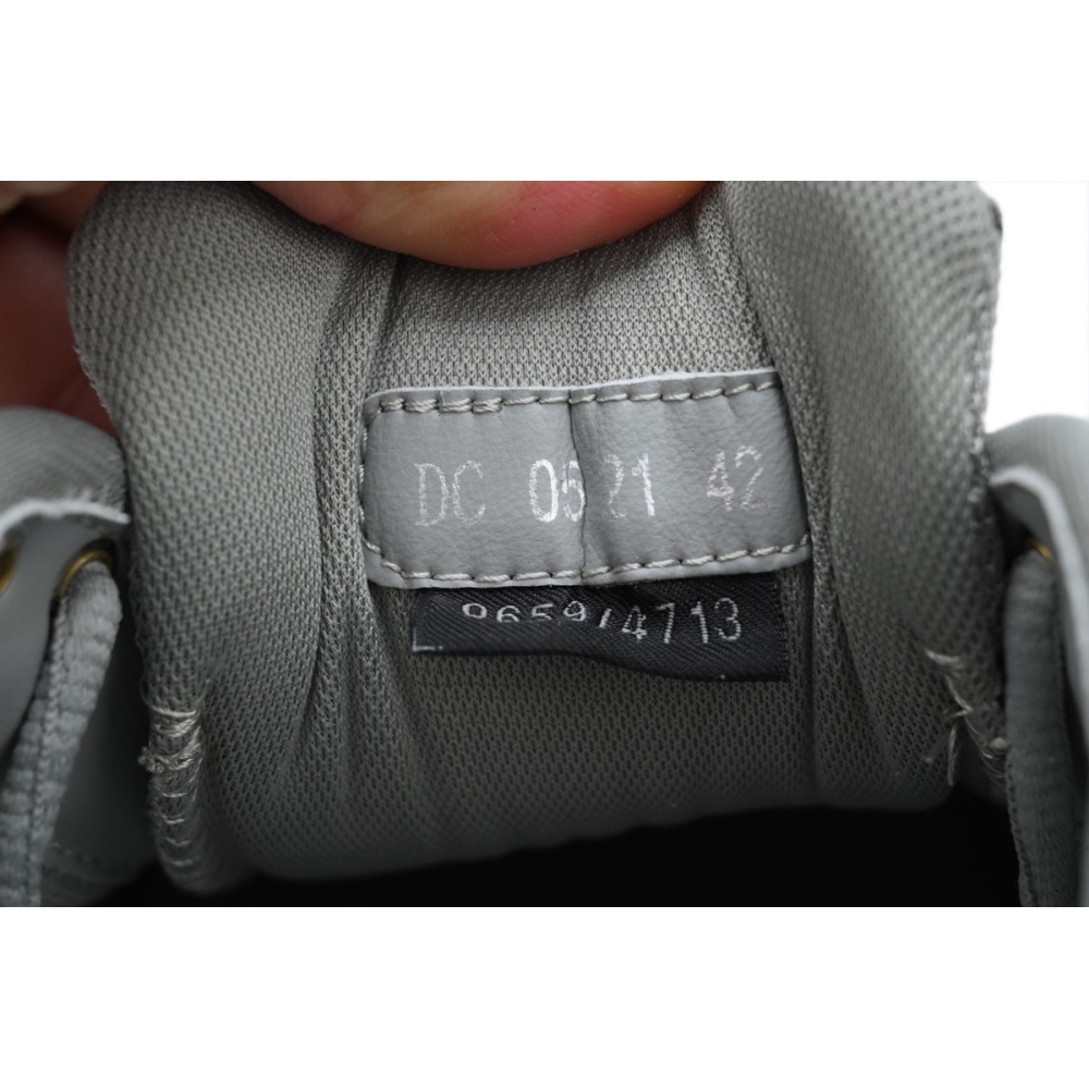 Dior B30 x Stone Island Sneaker Grey CK241115