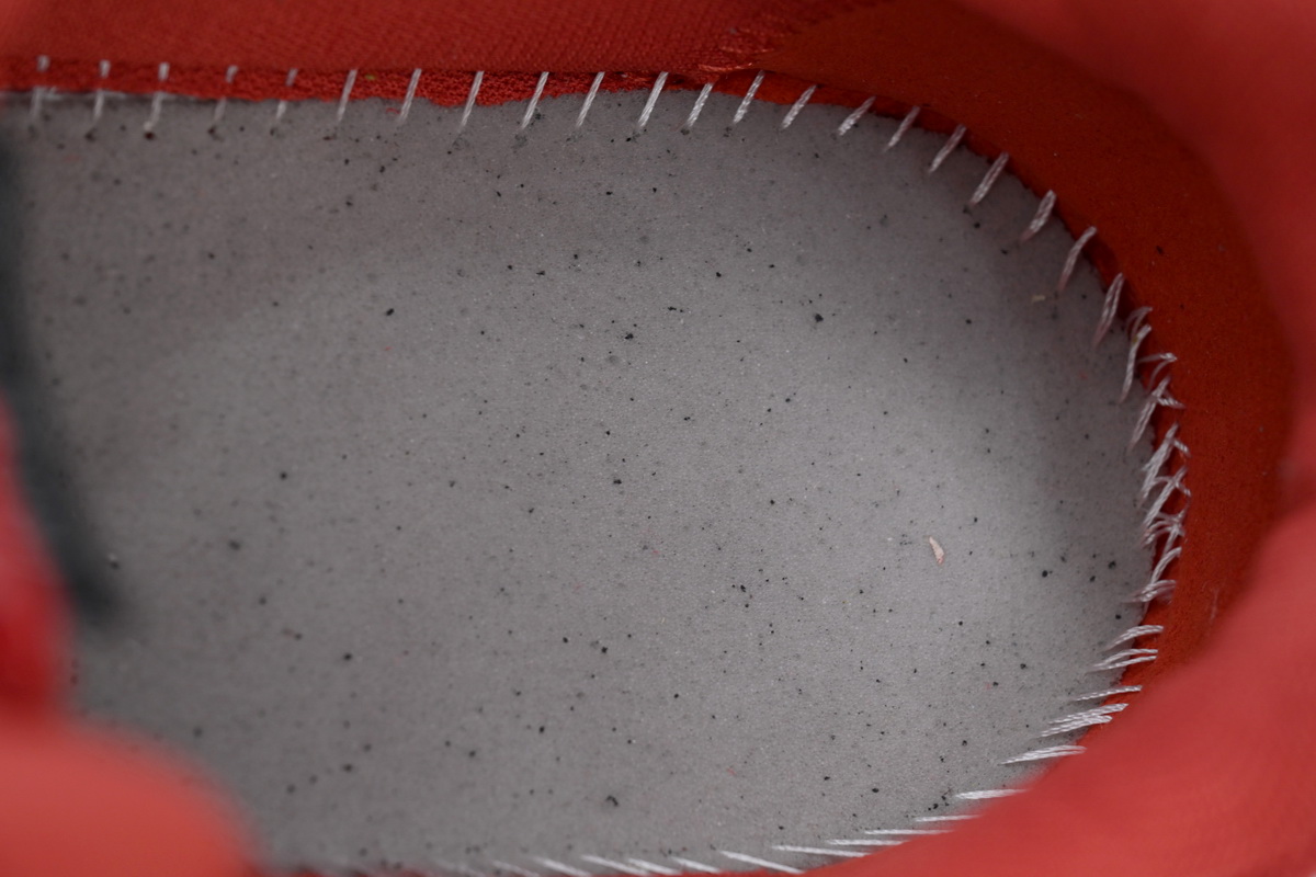 Dior B30 x Stone Island Sneaker Red CK241115