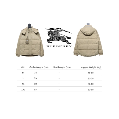 Burberry Embroidered Small Logo Stand Collar Hooded Down Jacket Beige CK22Fw WR6202024050 02