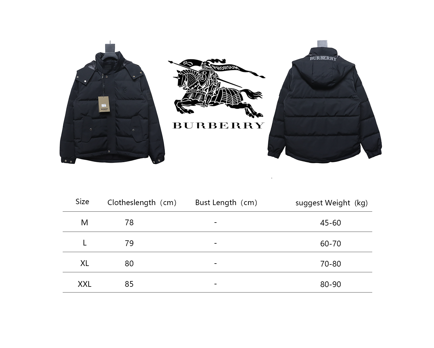 Burberry Embroidered Small Logo Stand Collar Hooded Down Jacket CK22Fw WR6202024050