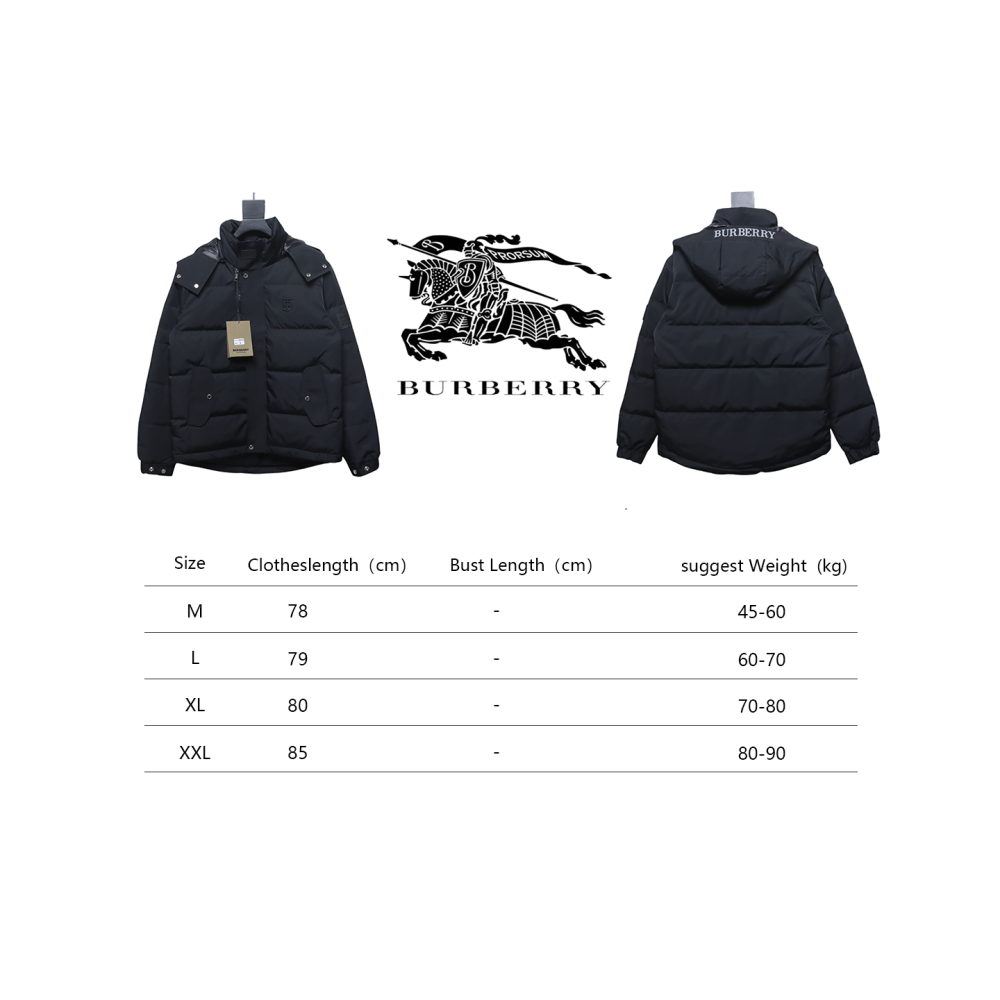 Burberry Embroidered Small Logo Stand Collar Hooded Down Jacket CK22Fw WR6202024050