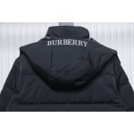 Burberry Embroidered Small Logo Stand Collar Hooded Down Jacket CK22Fw WR6202024050