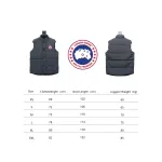 CANADA GOOSE Down Vest Grey CK 2402023014