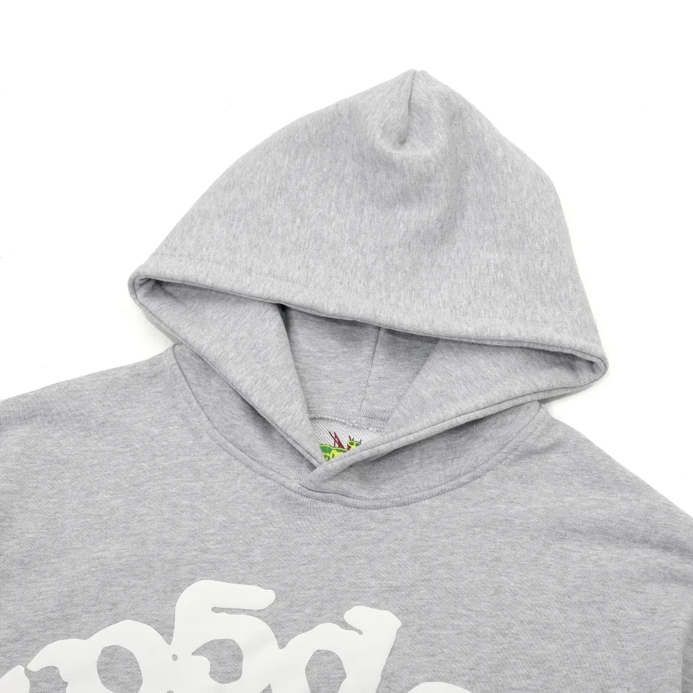 Sp5der Beluga Hoodie Heather Grey YZ EG915