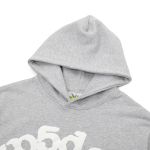 Sp5der Beluga Hoodie Heather Grey YZ EG915