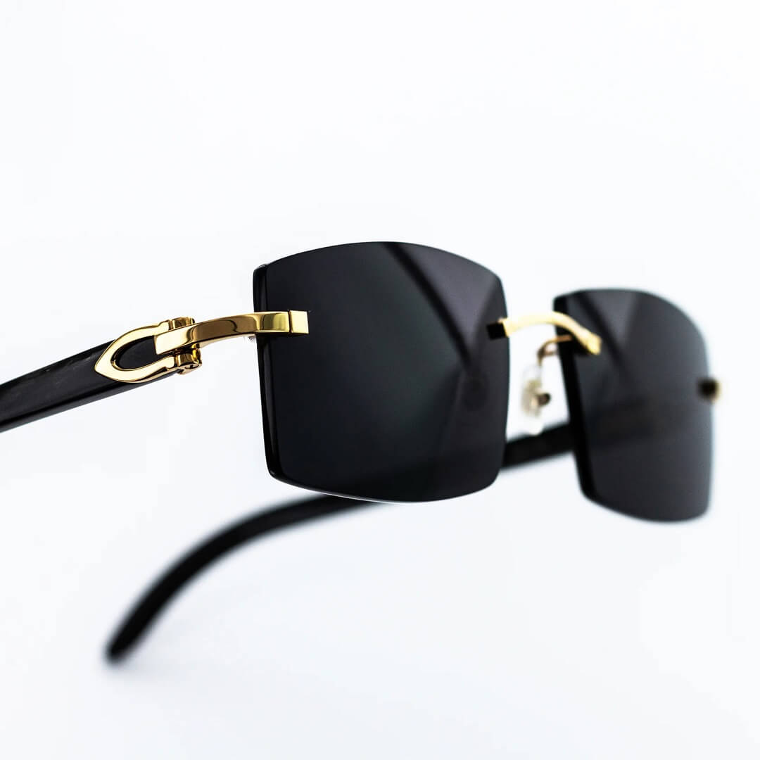 Cartier Black Horns SunGlasses Black CK250117