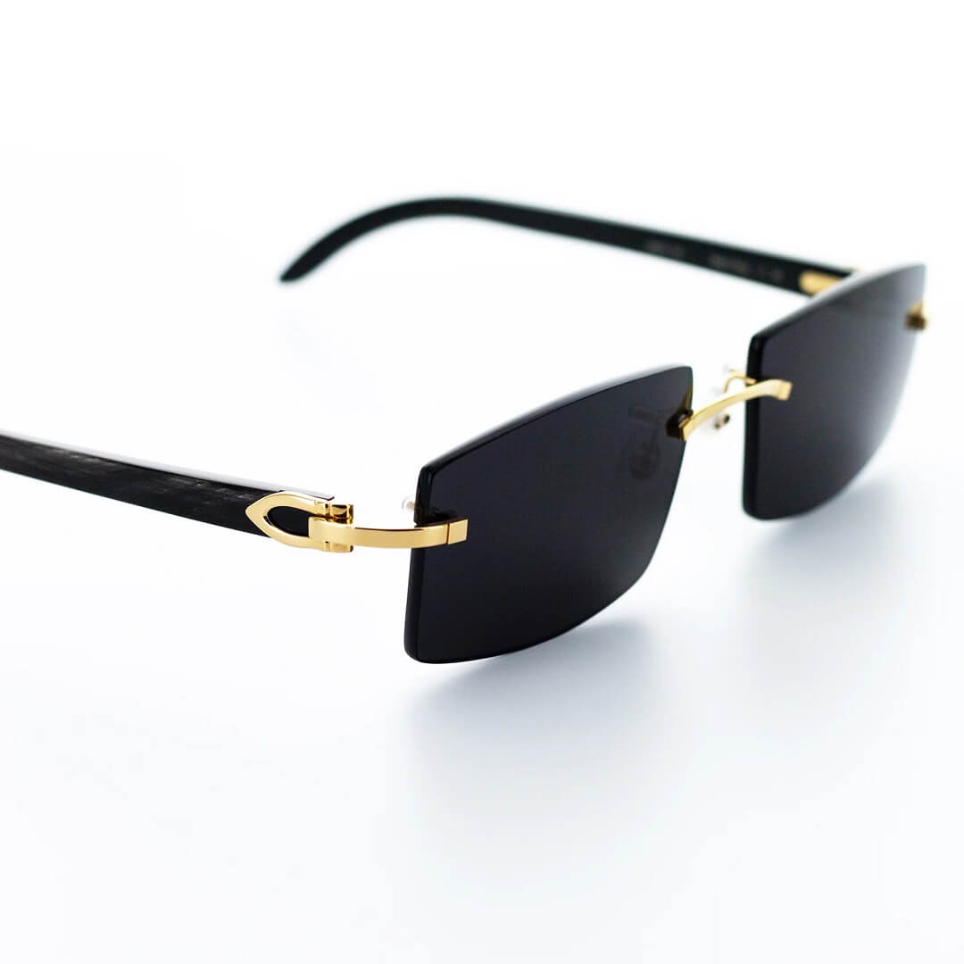 Cartier Black Horns SunGlasses Black CK250117