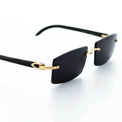 Cartier Black Horns SunGlasses Black CK250117 01
