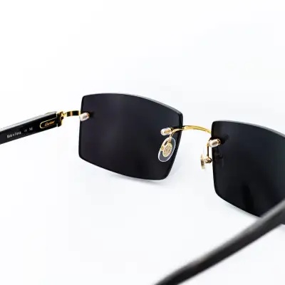 Cartier Black Horns SunGlasses Black CK250117 02