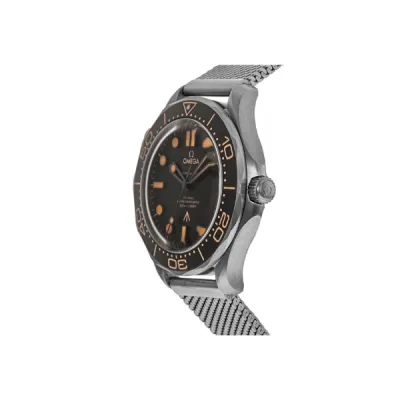 Omega Seamaster Diver 300M 007 Brown Dial Titanium Men's Watch 210.90.42.20.01.001-PO 02