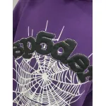 Sp5der Web Hoodie Purple