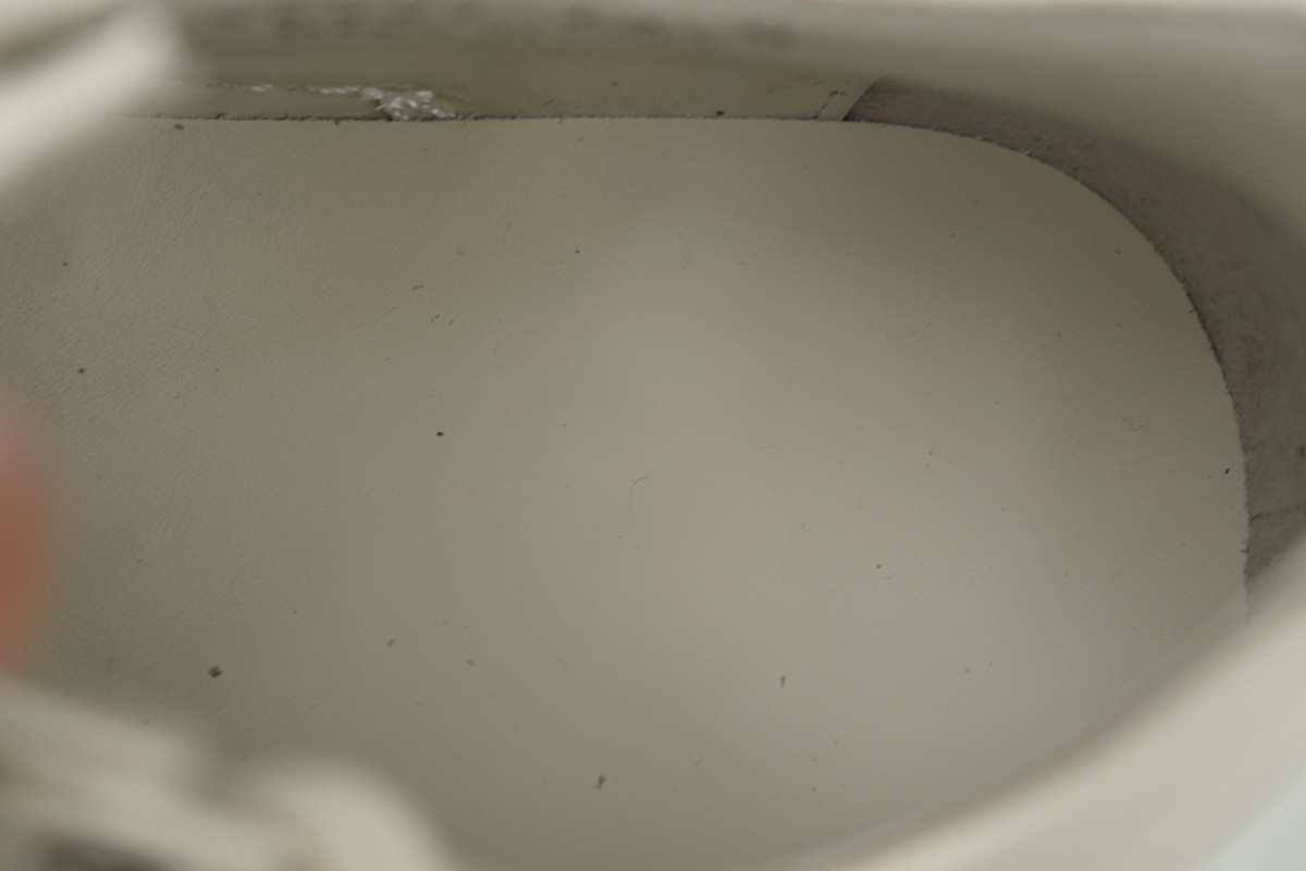 Rick Owens Watermelon Head Low-Top All White