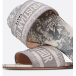 DIOR Classic Dway Slide Rose Grey
